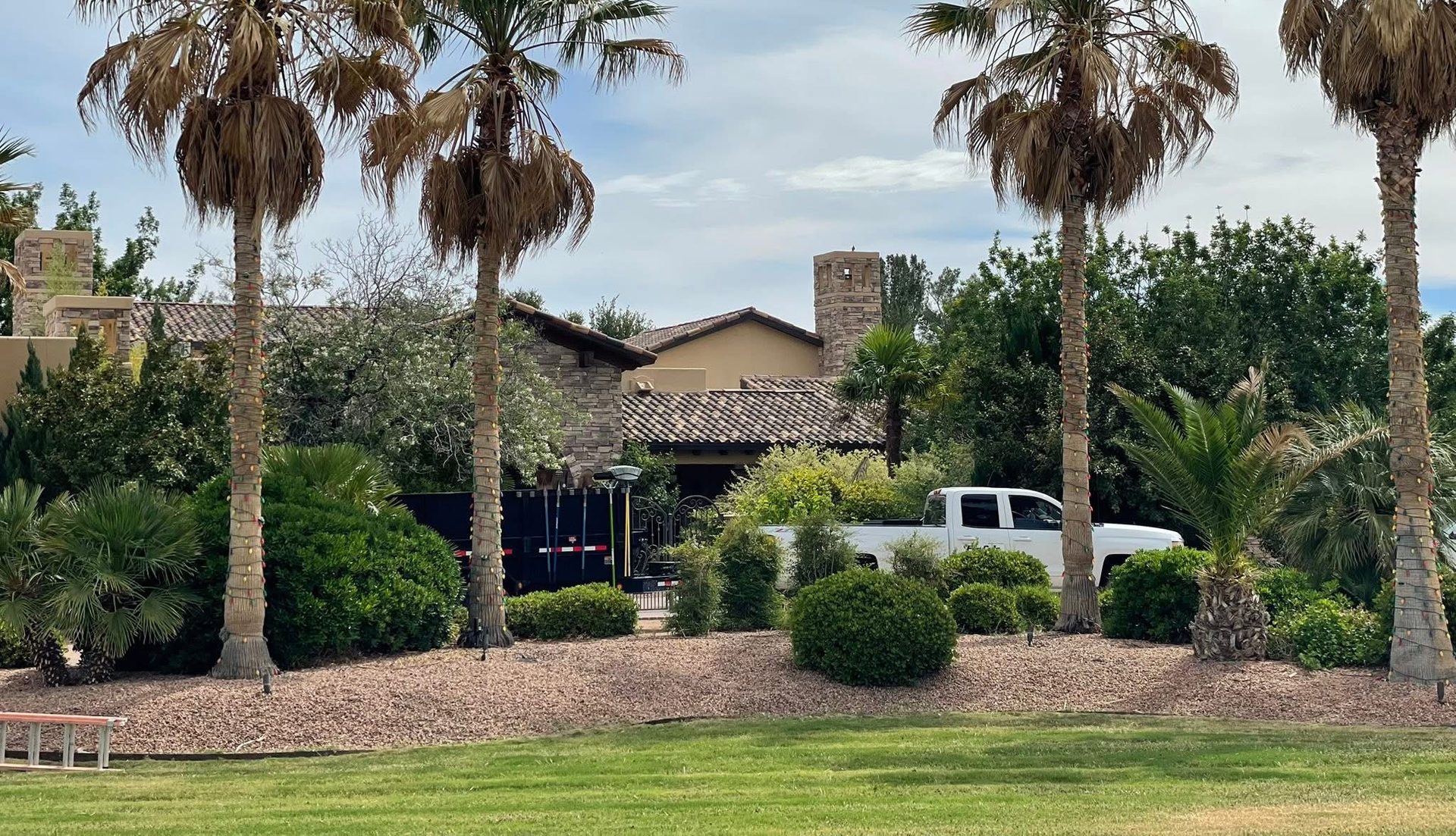 Palm-lined front yard with a manicured lawn, gravel beds, and a Pro Cuts work truck and trailer parked in the driveway of a Las Cruces property.