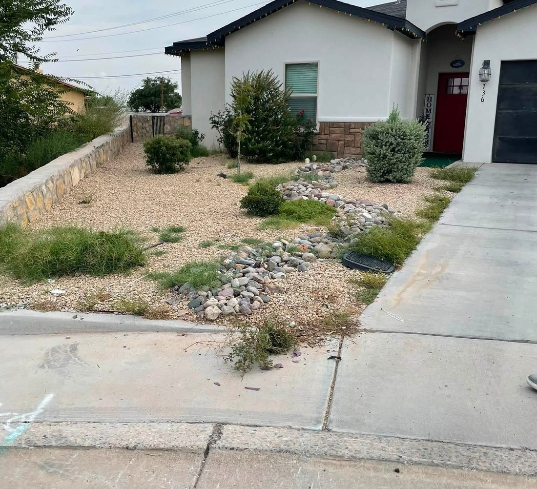Front yard rock bed before cleanup, with weeds and tall grass growing throughout.